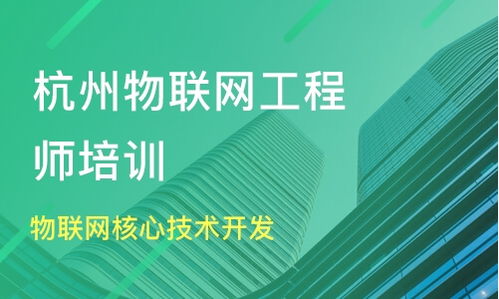 杭州物聯(lián)網(wǎng)核心技術(shù)開發(fā)價格及工程師培訓(xùn)選擇指南